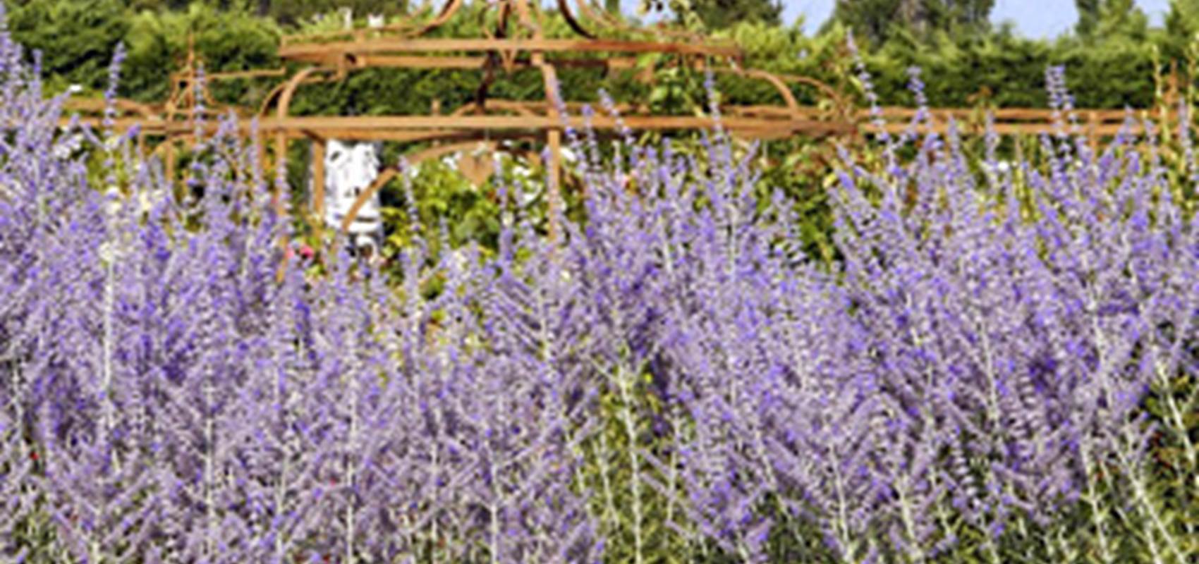 FR1406-1-002L00000 Mas des Figues