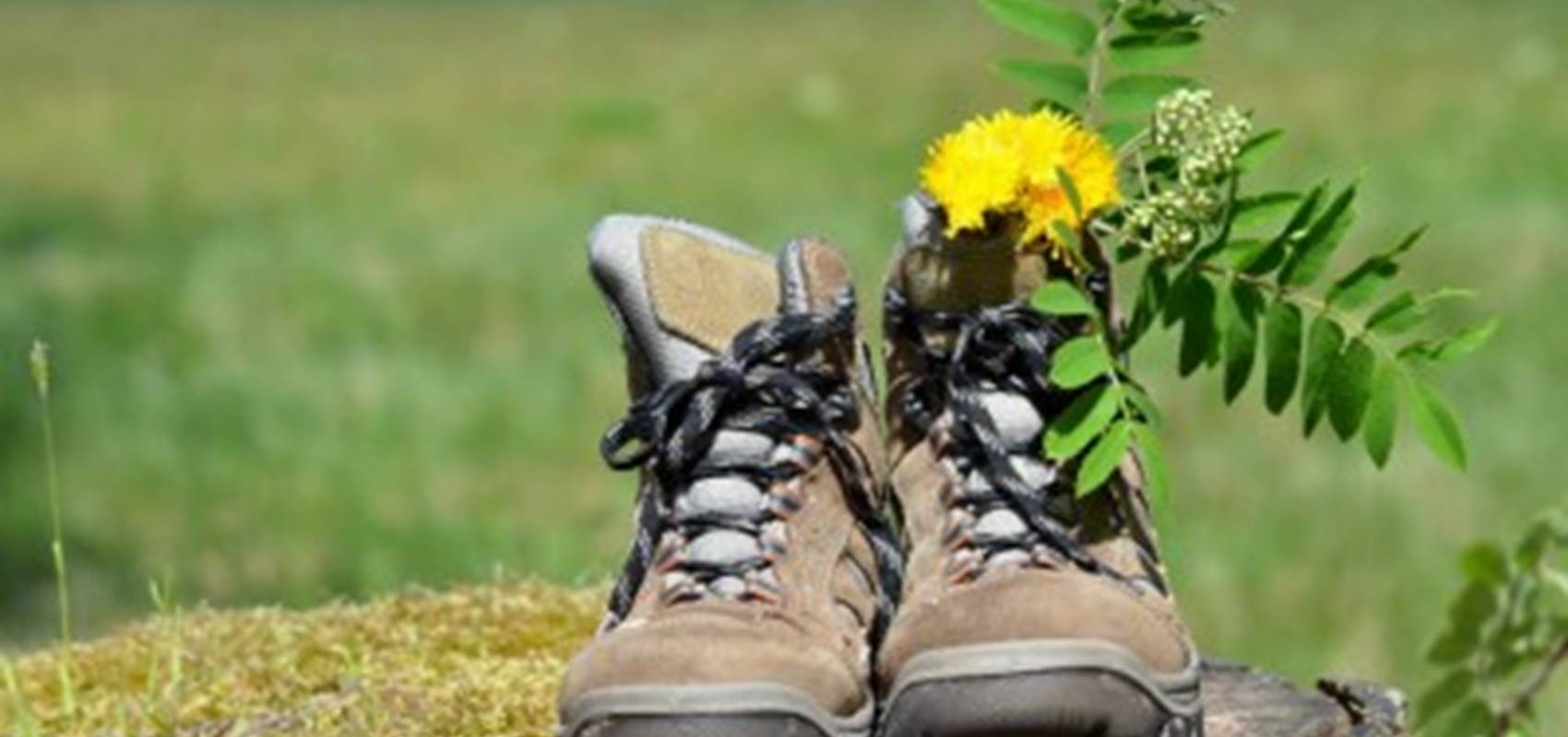 prendre son temps-Locaplage