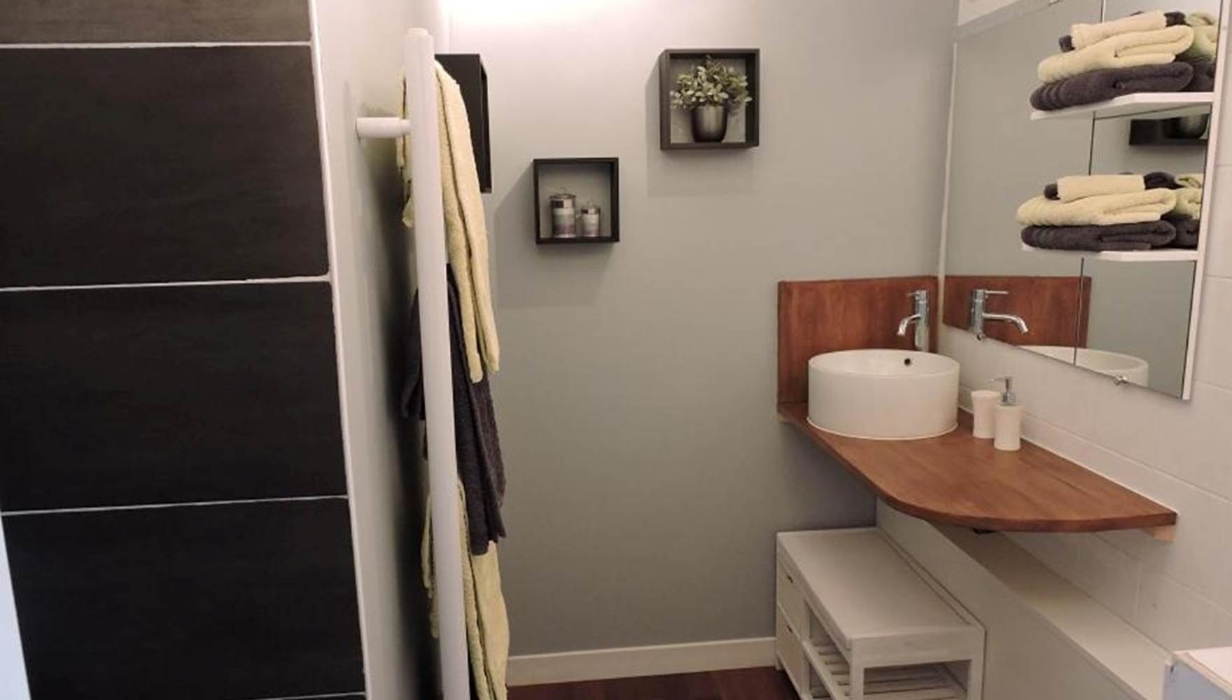 Salle de bain (douche italienne + WC)