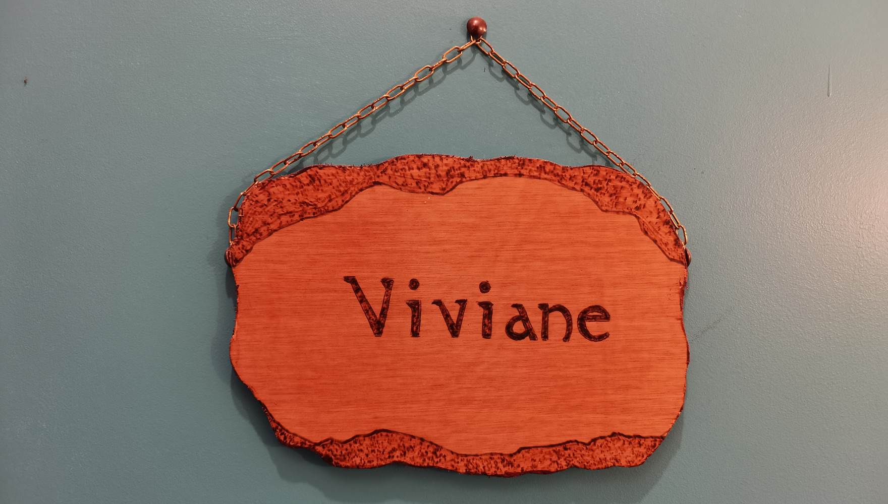 IMG_20241109_144259[1]