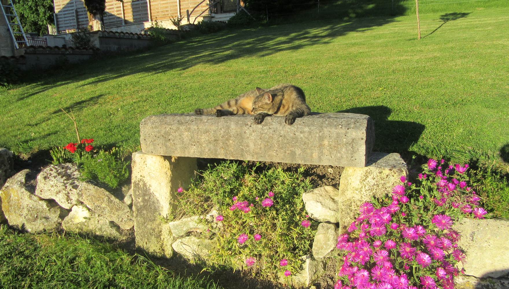 jardin devant la maison