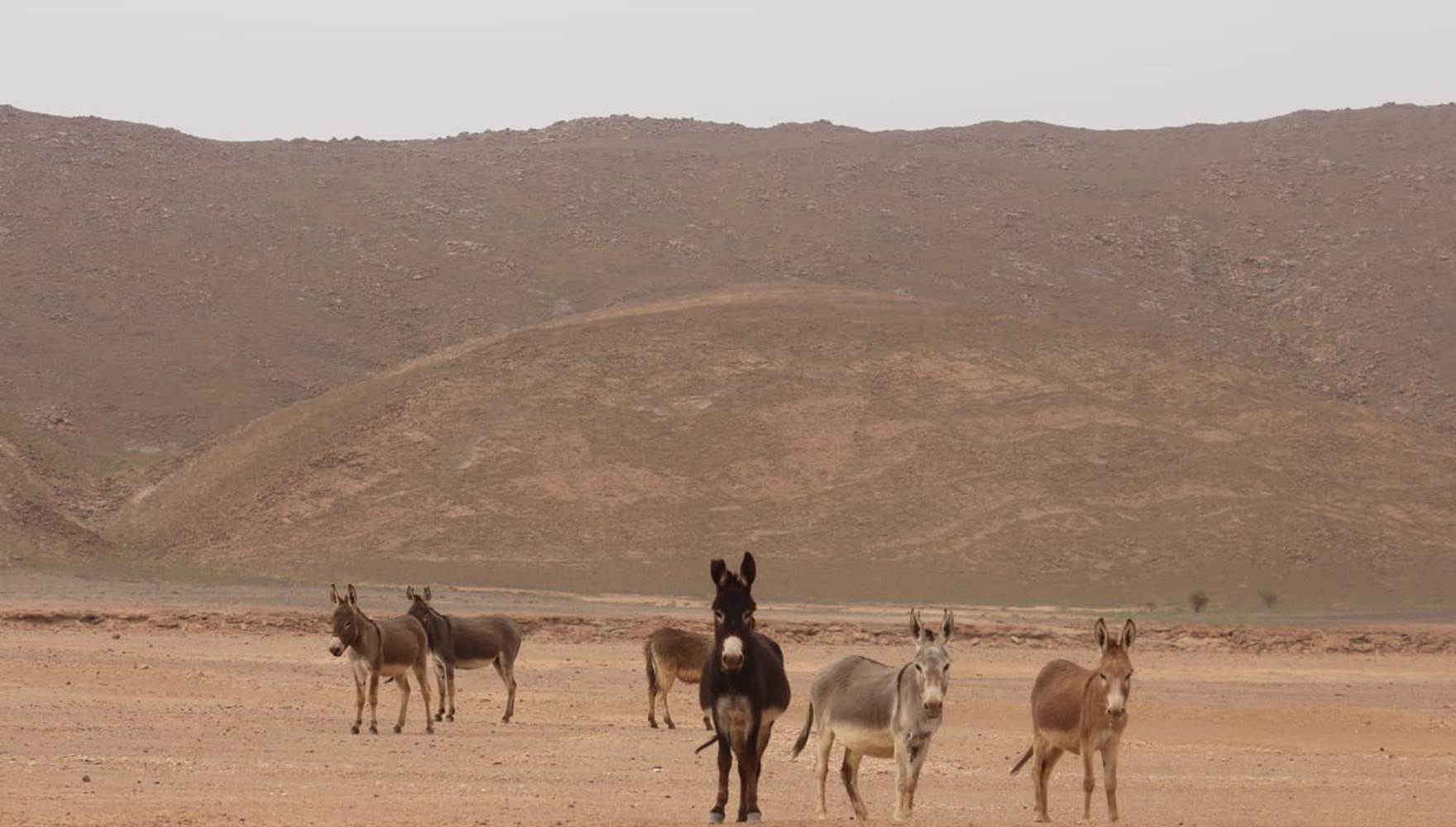 WhatsApp Image 2025-03-03 at 10.48.39