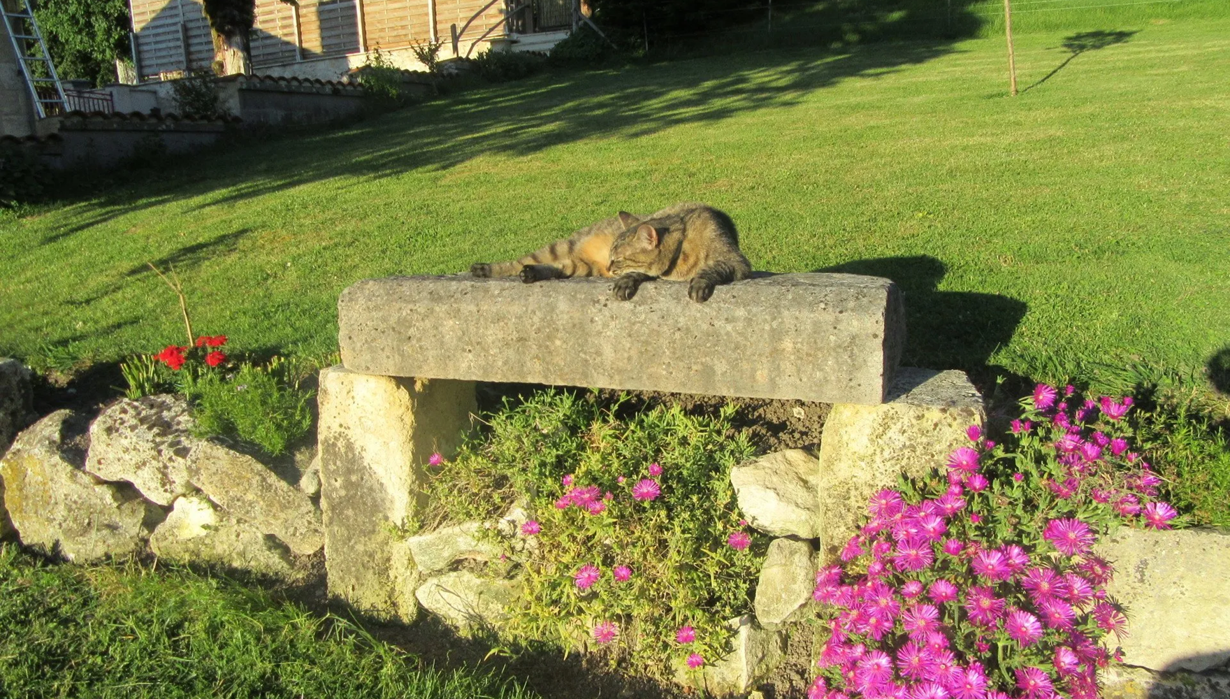 HYGGE_EN_PÉRIGORD_BAIN_NORDIQUE_SAUNA_COCOONING_VACANCES_TOURISME_AMIS_FAMILLE_DORDOGNE