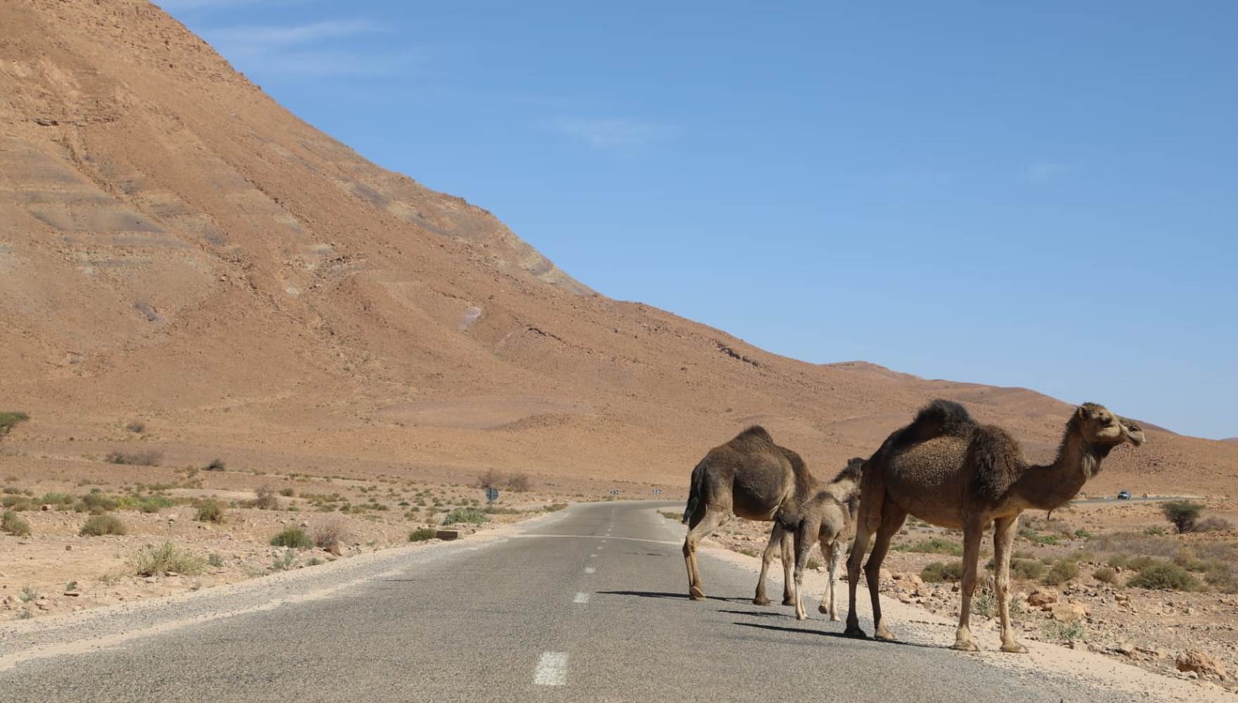 WhatsApp Image 2025-03-03 at 10.52.24 (2)