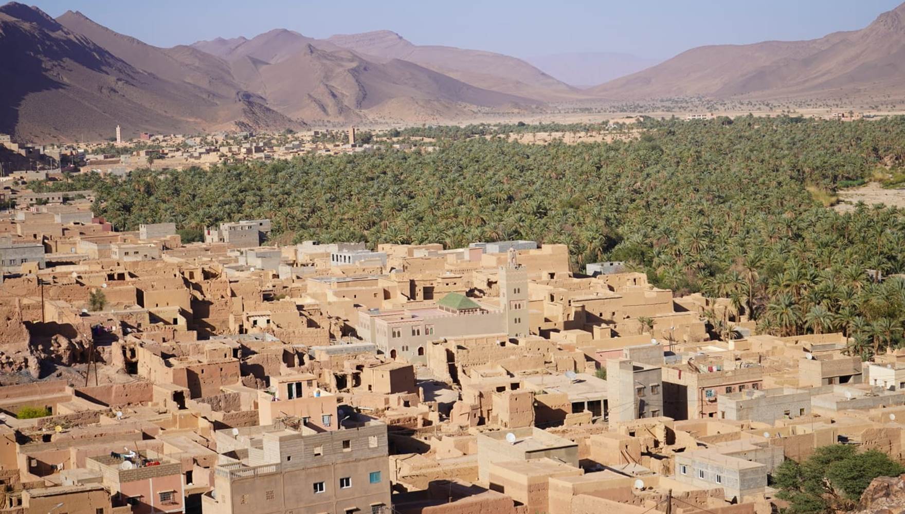 WhatsApp Image 2025-03-03 at 16.20.46