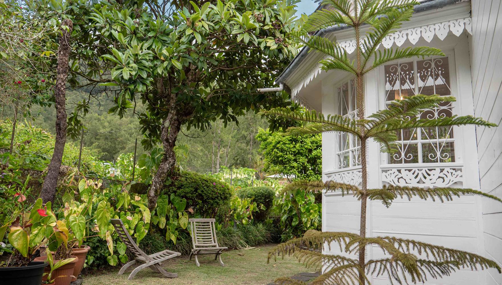 la-villa-blanche-hell-bourg-salazie-reunion-974 (2 sur 111)