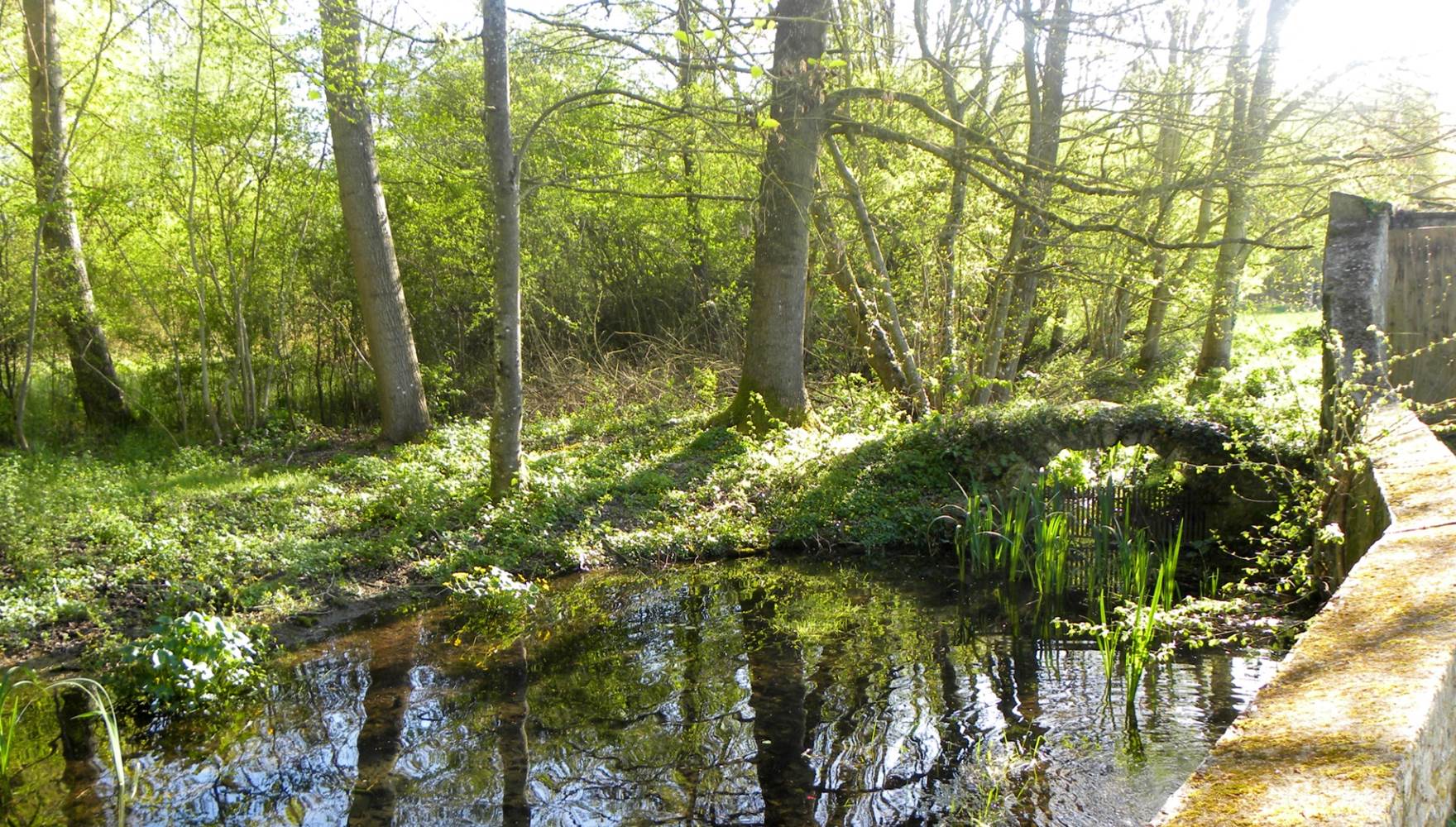 Domaine du Gué du Roi Gîte Le Pigeonnier du Gué du Roi Ruisseau