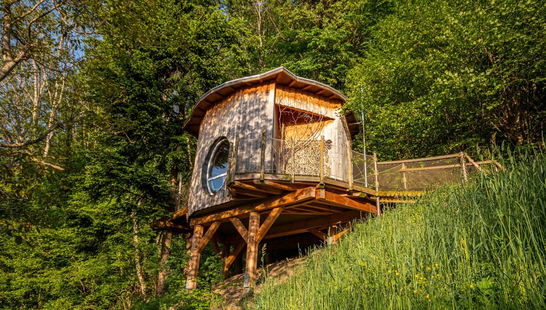 nuit insolite dans les arbres