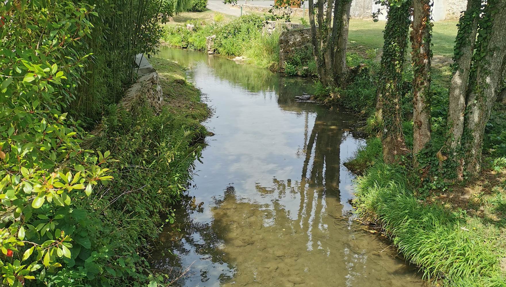 Rivière La Verdonnelle traversant le village de Verdon