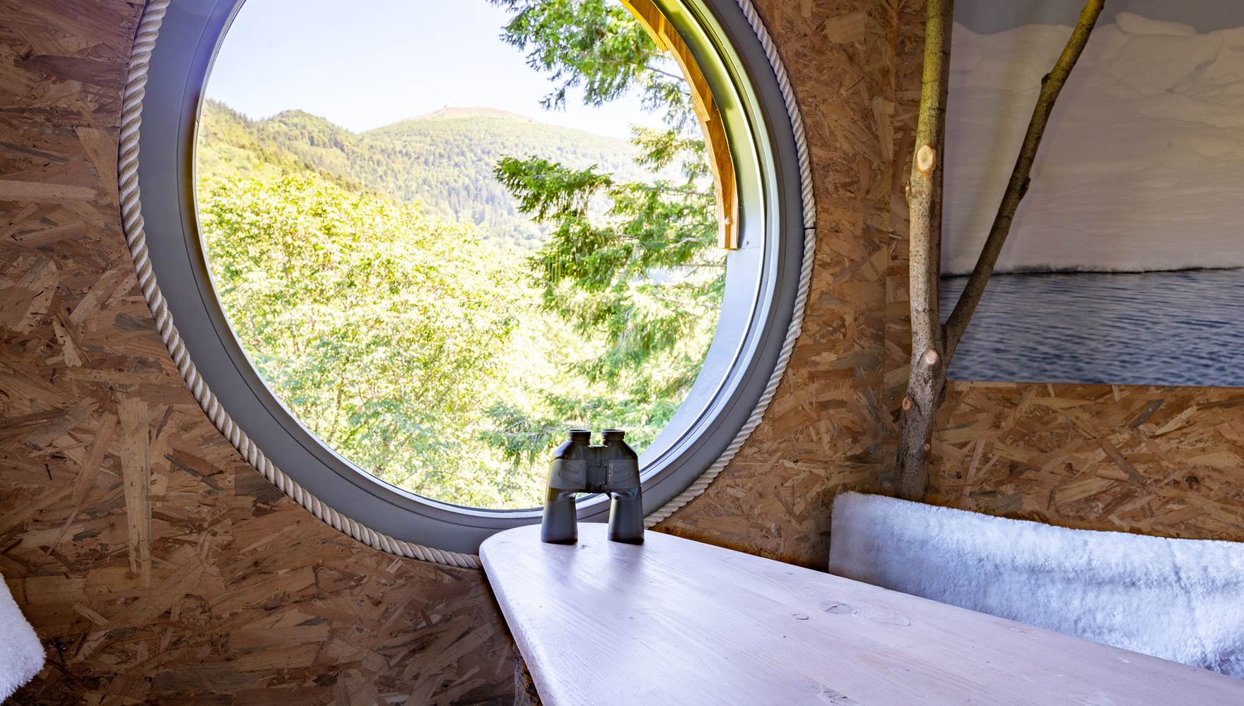 Vue sur le Grand Ballon depuis la Cabane