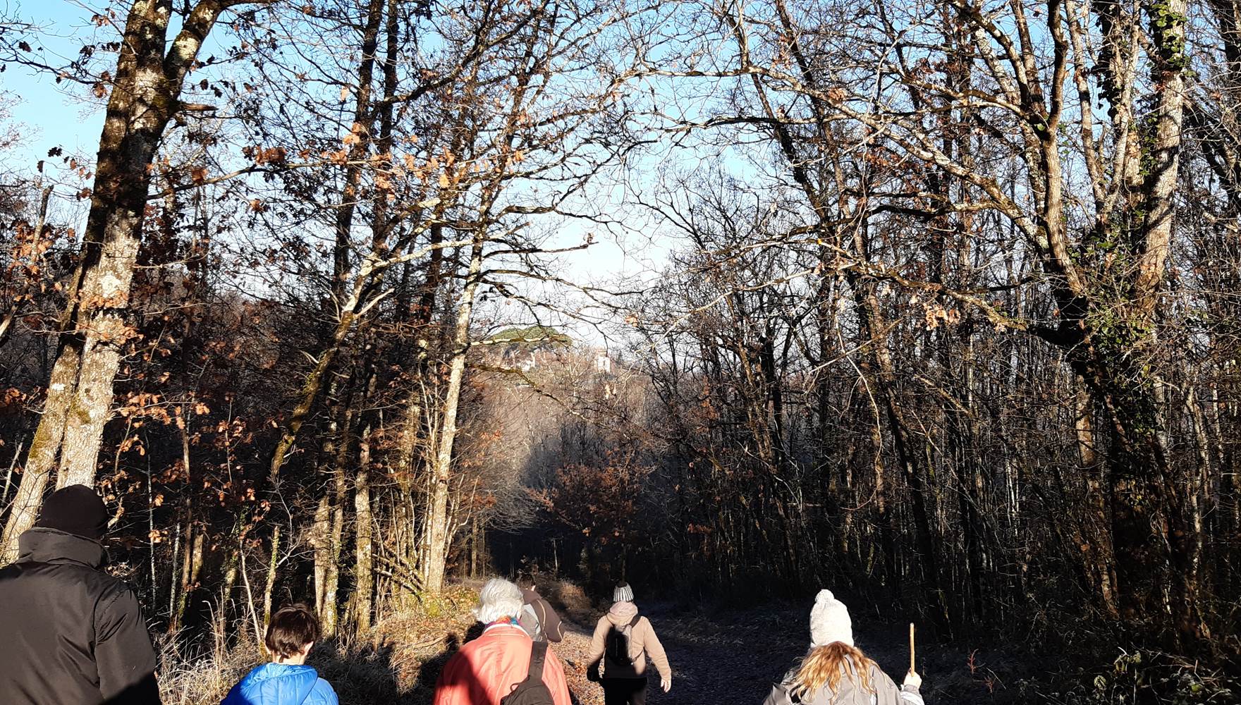 En route pour une visite forestière hivernal