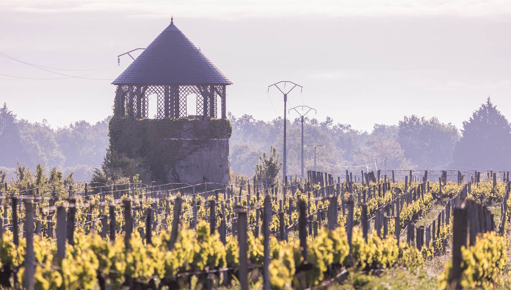 Chateau Senejac 2024.05 Exterieurs-80