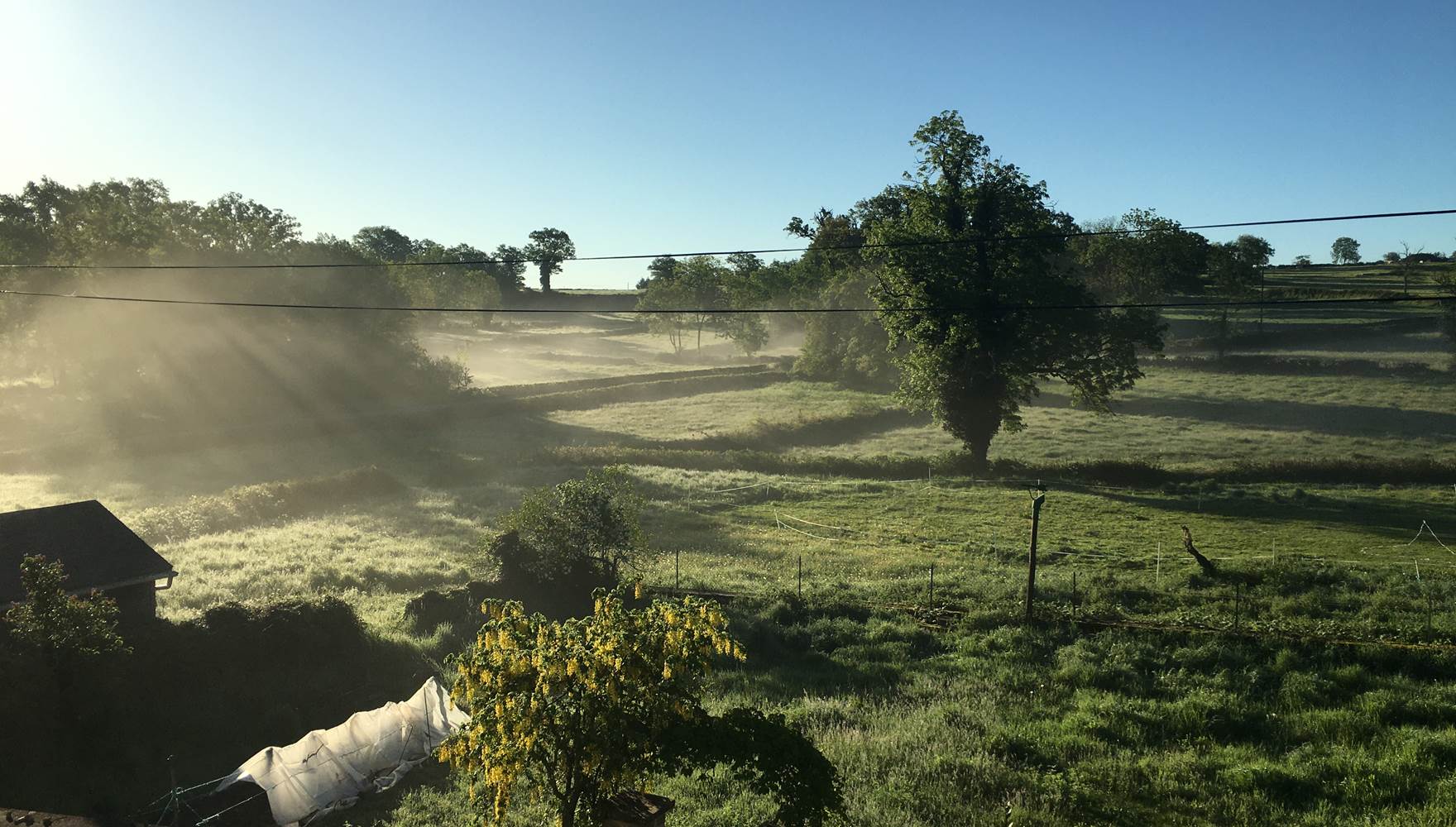 vue depuis les chambres