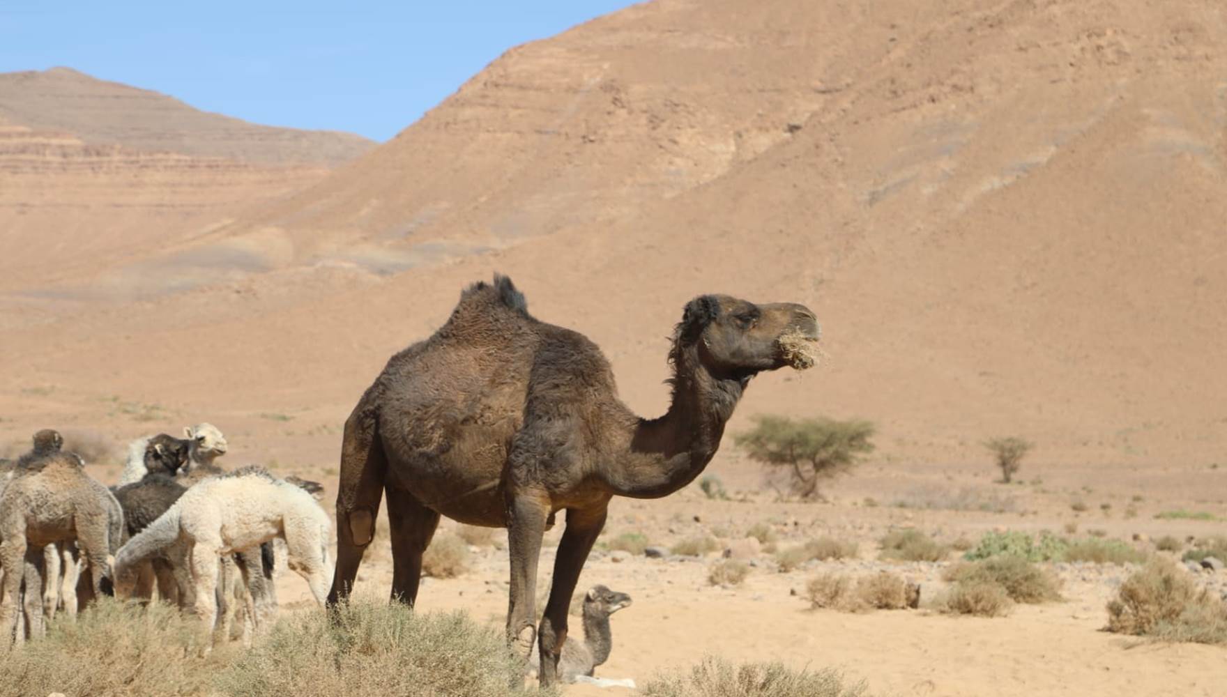 WhatsApp Image 2025-03-03 at 10.52.24 (1)