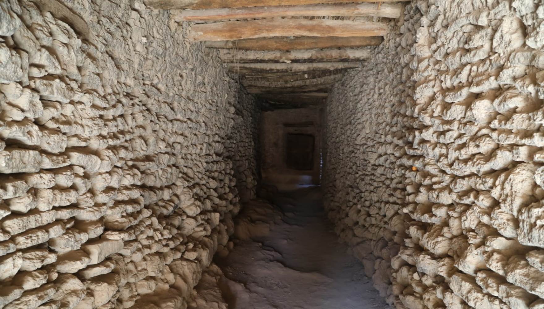 WhatsApp Image 2025-03-03 at 10.52.24