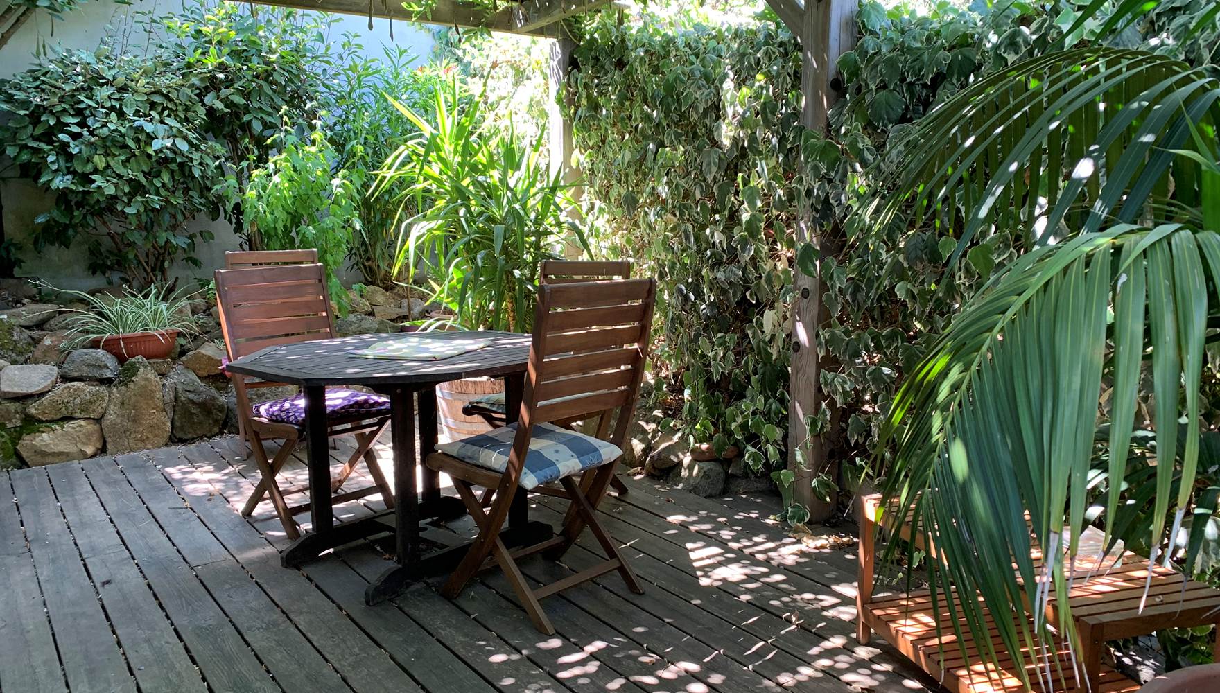 La terrasse est ombragée par une grande glycine