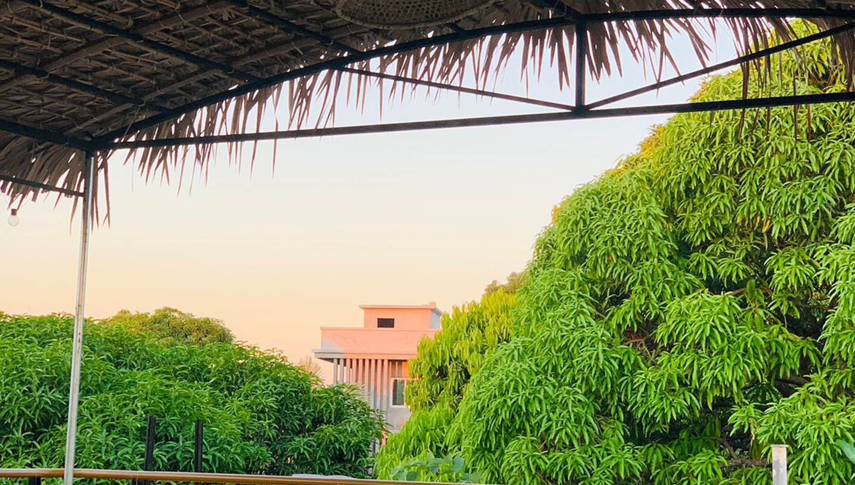 Terrasse journée