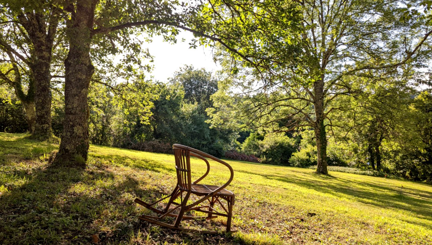Dans le parc ombragé naturellement