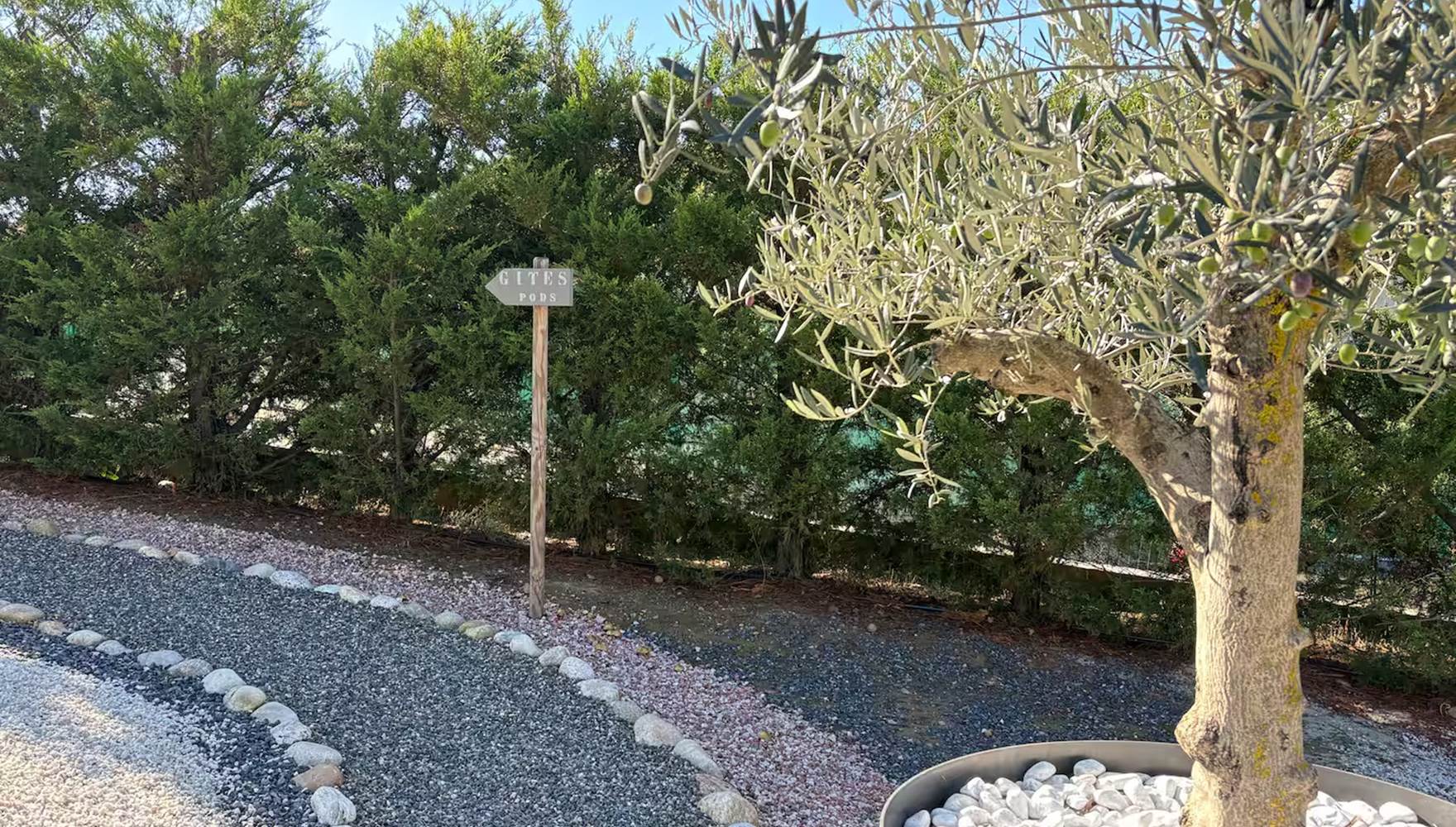 19a7429b-b058-424c-afdd-7f0c8d64059d