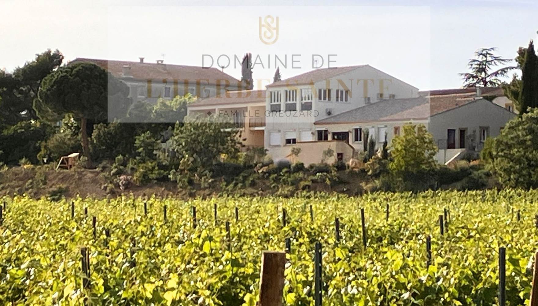 Une lieu d'évènement au coeur d un vignoble de qualité pour des grands vins du languedoc