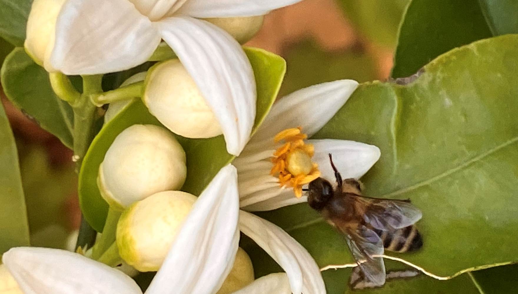 Où dormir près du Canal du Midi