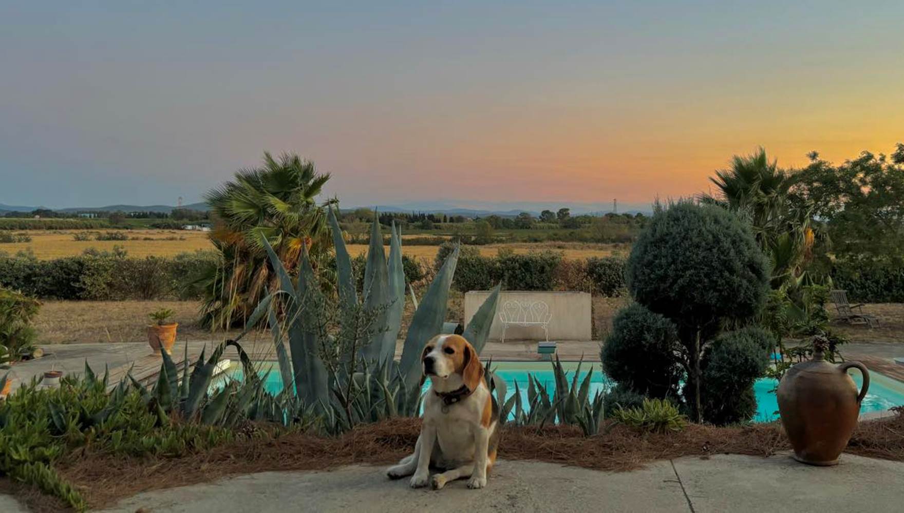 453294565_815168727359619_6243600828995480690_n