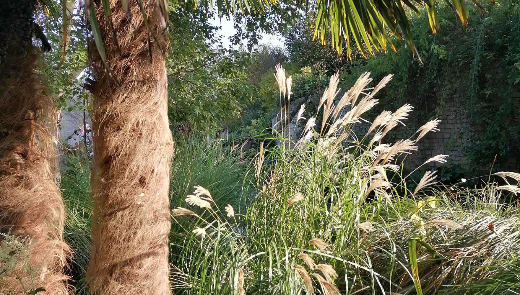 Jardin paysager de la maison d'hôtes  - La Malposte