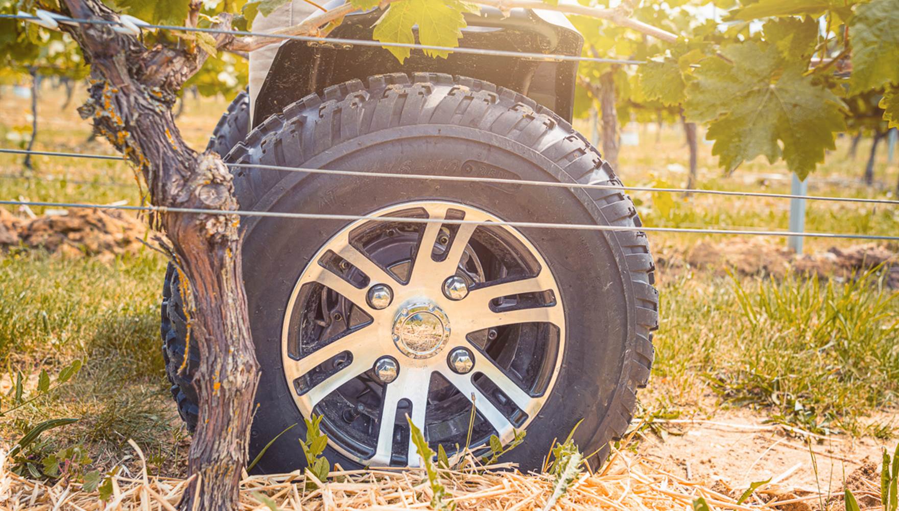 Balade classique en gyropode ou trottinette électrique dans le vignoble