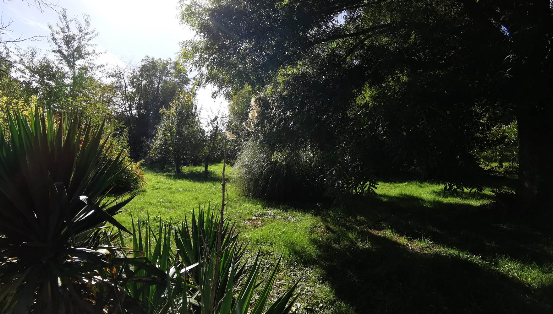 Jardin commun du clos verdonnais
