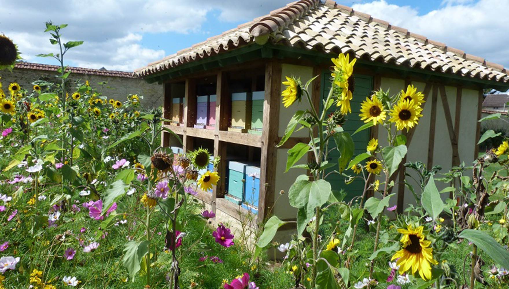 RUCHER DANS LES VERGERS-POTAGERS