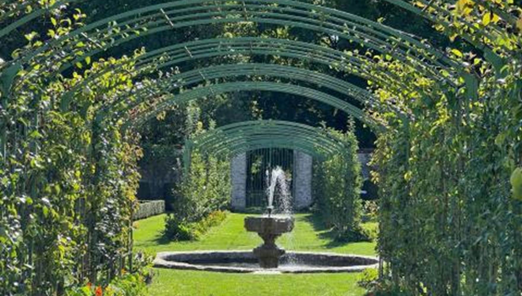 LES VERGERS-POTAGERS