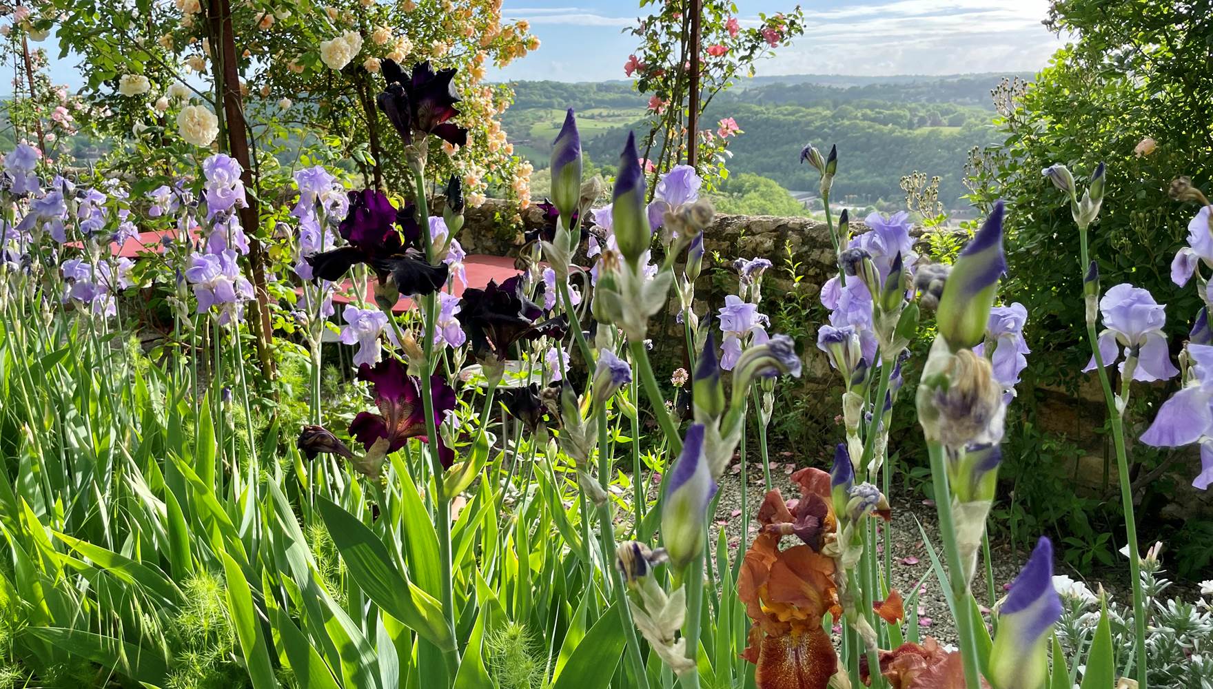 Jardin avec vue panoramique sur la vallée