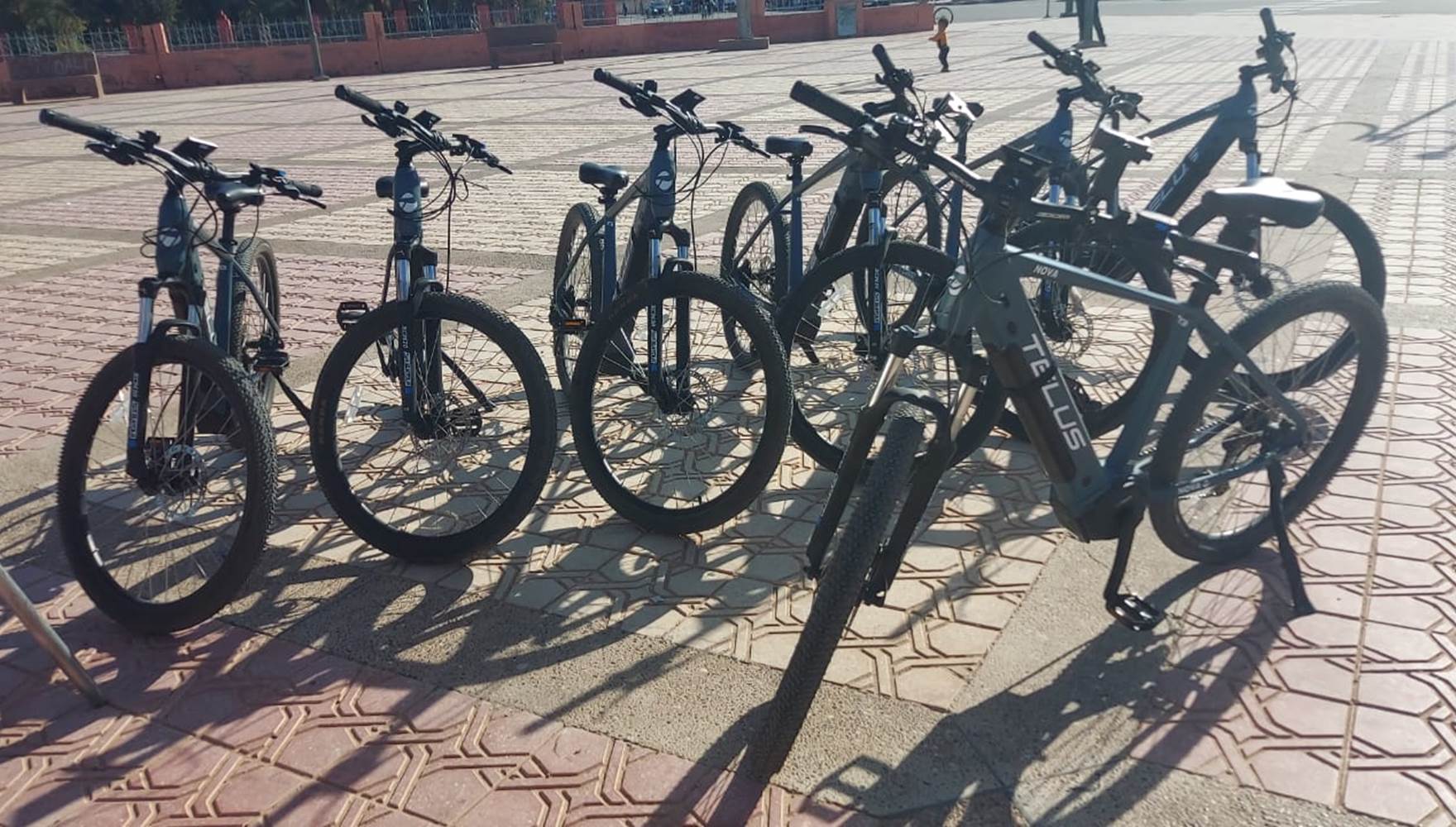 WhatsApp Image 2025-01-31 at 14.40.28