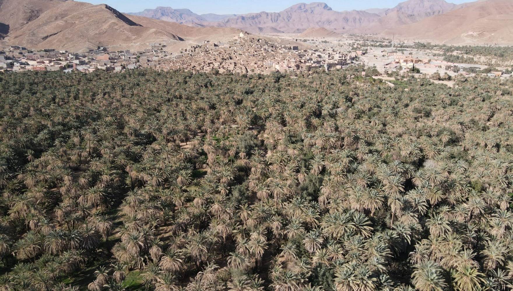 WhatsApp Image 2025-03-03 at 16.05.11 (3)