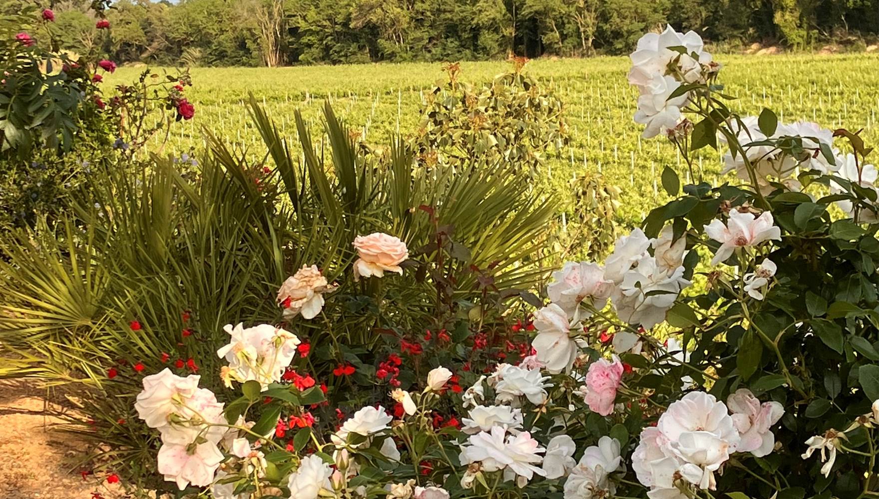 Ferienhaus am Canal du Midi