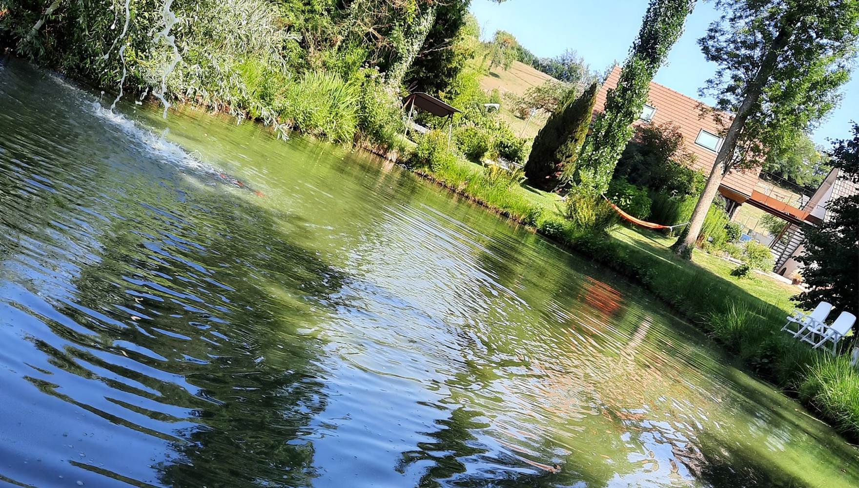 coté bassin