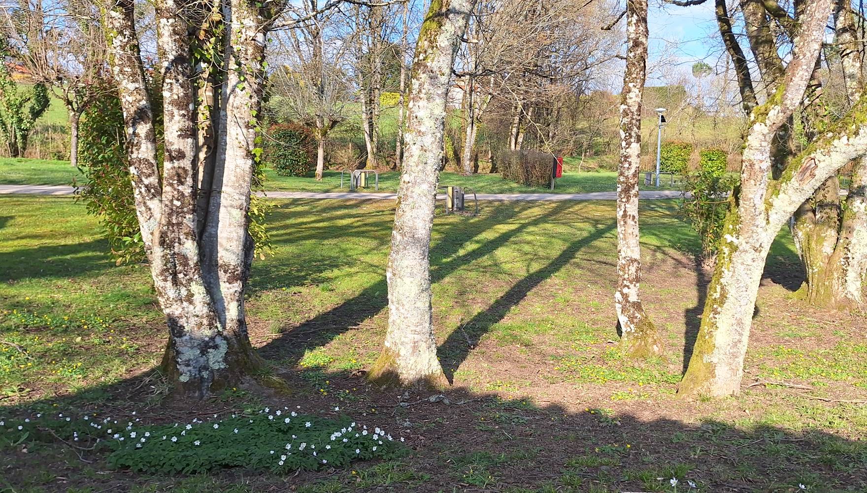 lepetitbois46_Leyme_emplacements camping_printemps2025