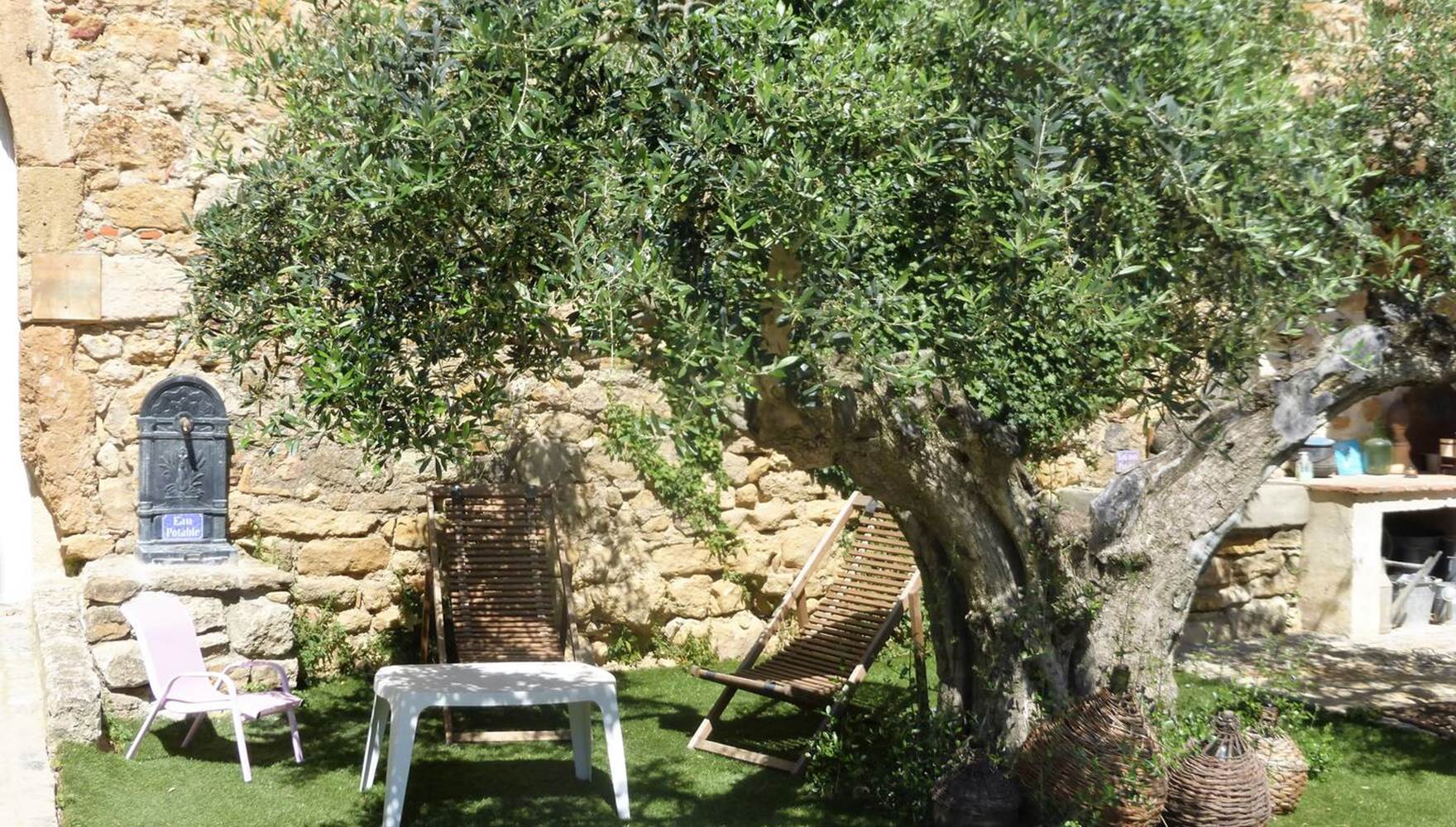 Détente sous les oliviers