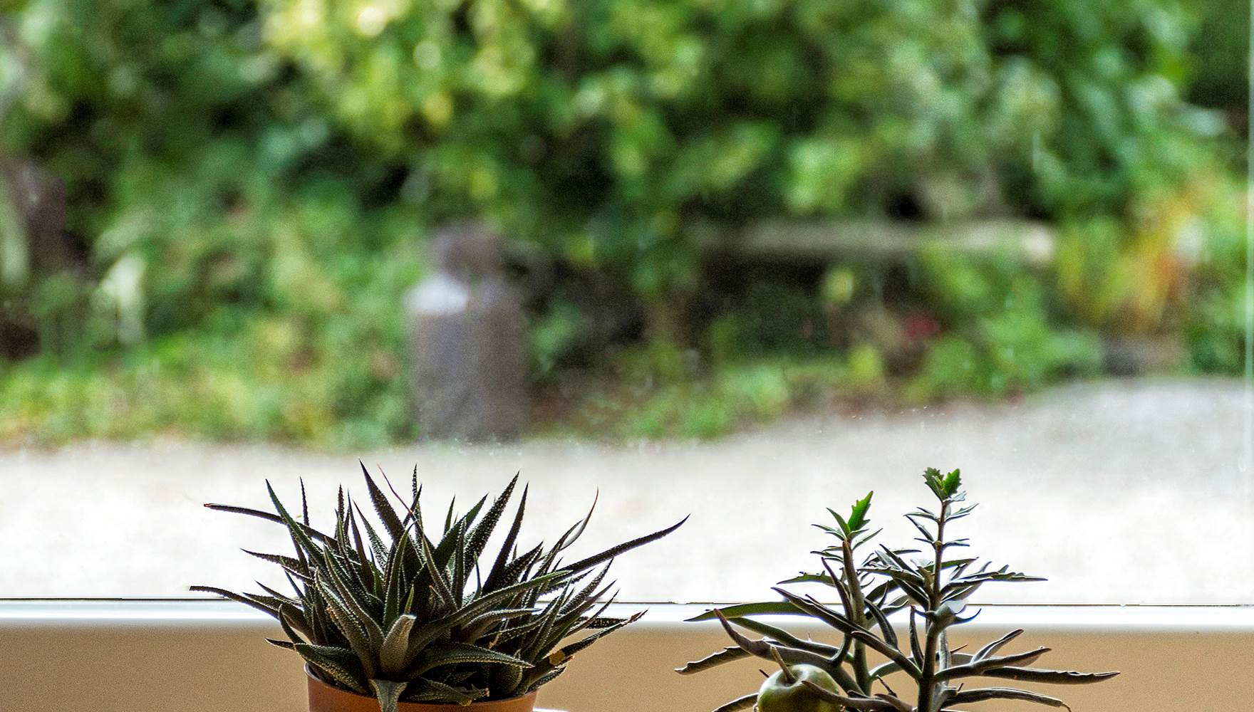 aufildeleau-cotentin-val de Saire-chambre d'hôtes