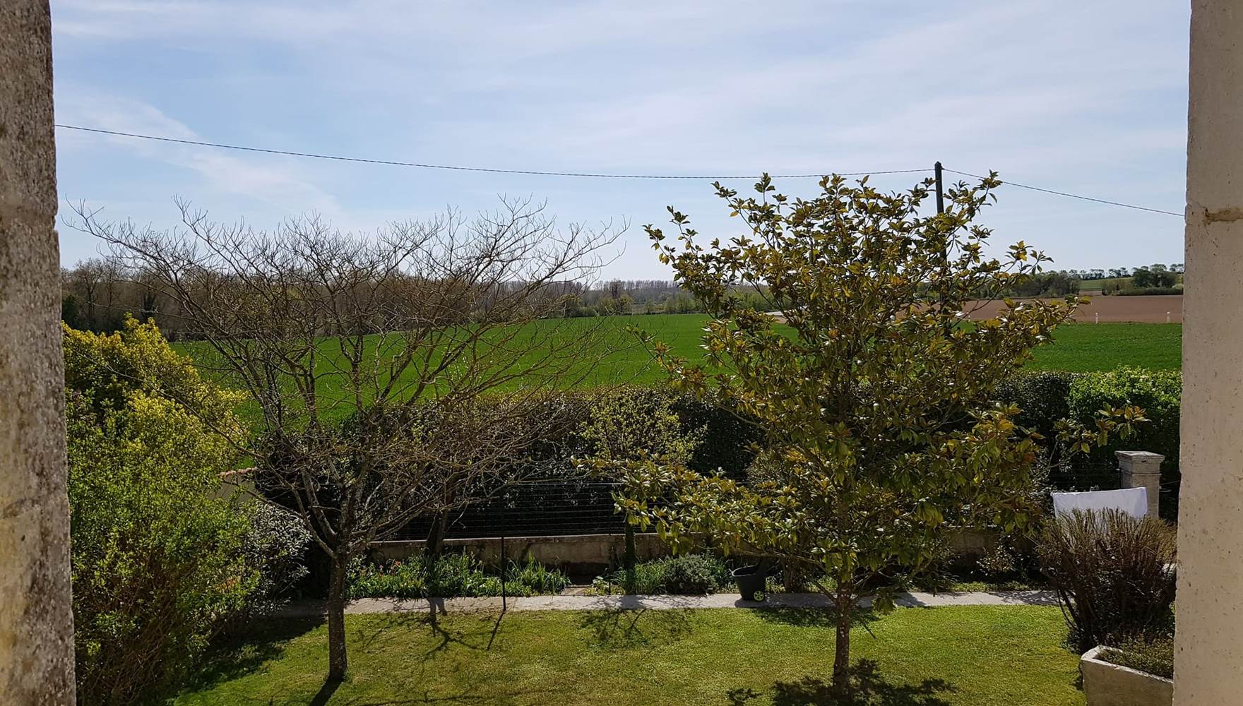 Domaine_pelouaille_magnolia05_vue_jardin