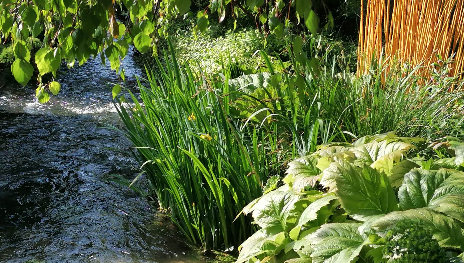Jardin paysager de la maison d'hôtes  - La Malposte