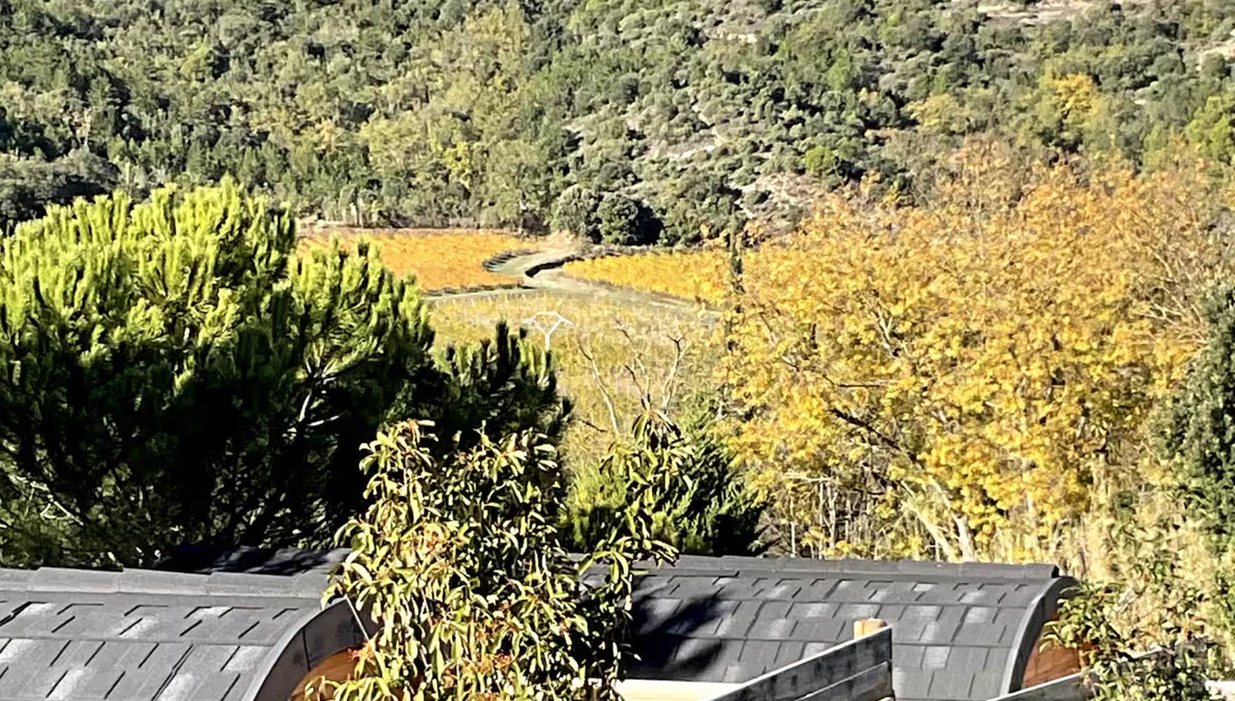 3976dd04-5cf0-4187-ad06-df367e6252a1