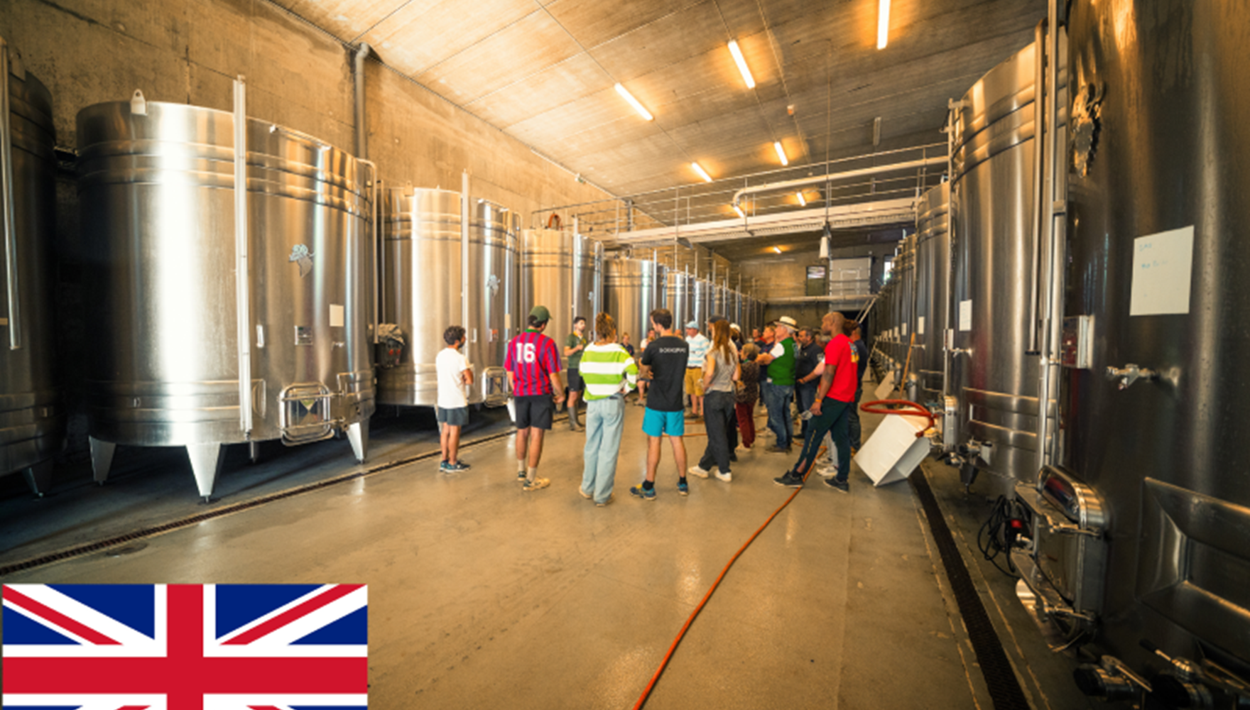 VISITE DECOUVERTE EN ANGLAIS