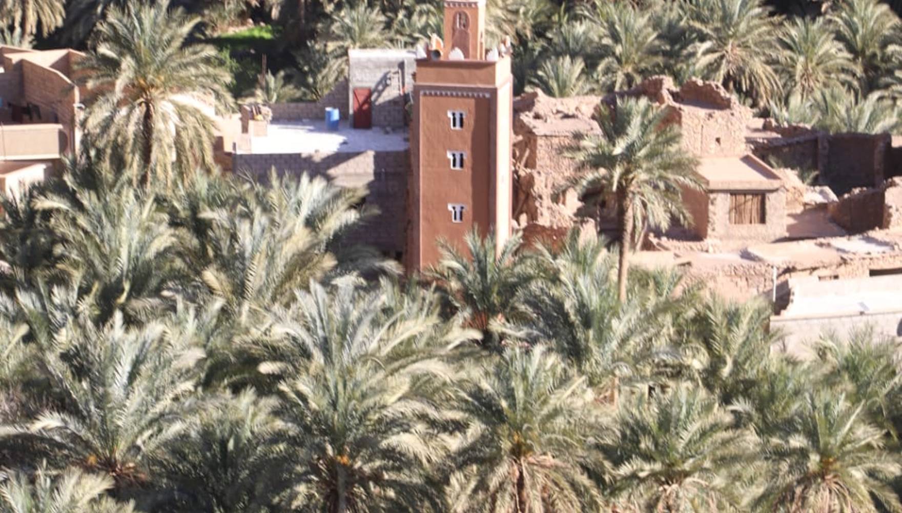 WhatsApp Image 2025-03-03 at 16.05.12