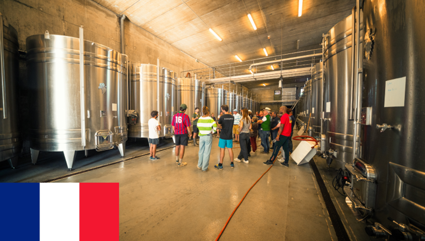 visite decouverte en FR