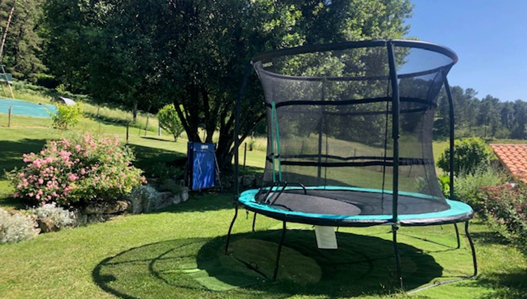 61245442622__9238F9EF-2A87-4B0D-942A-F76996254019