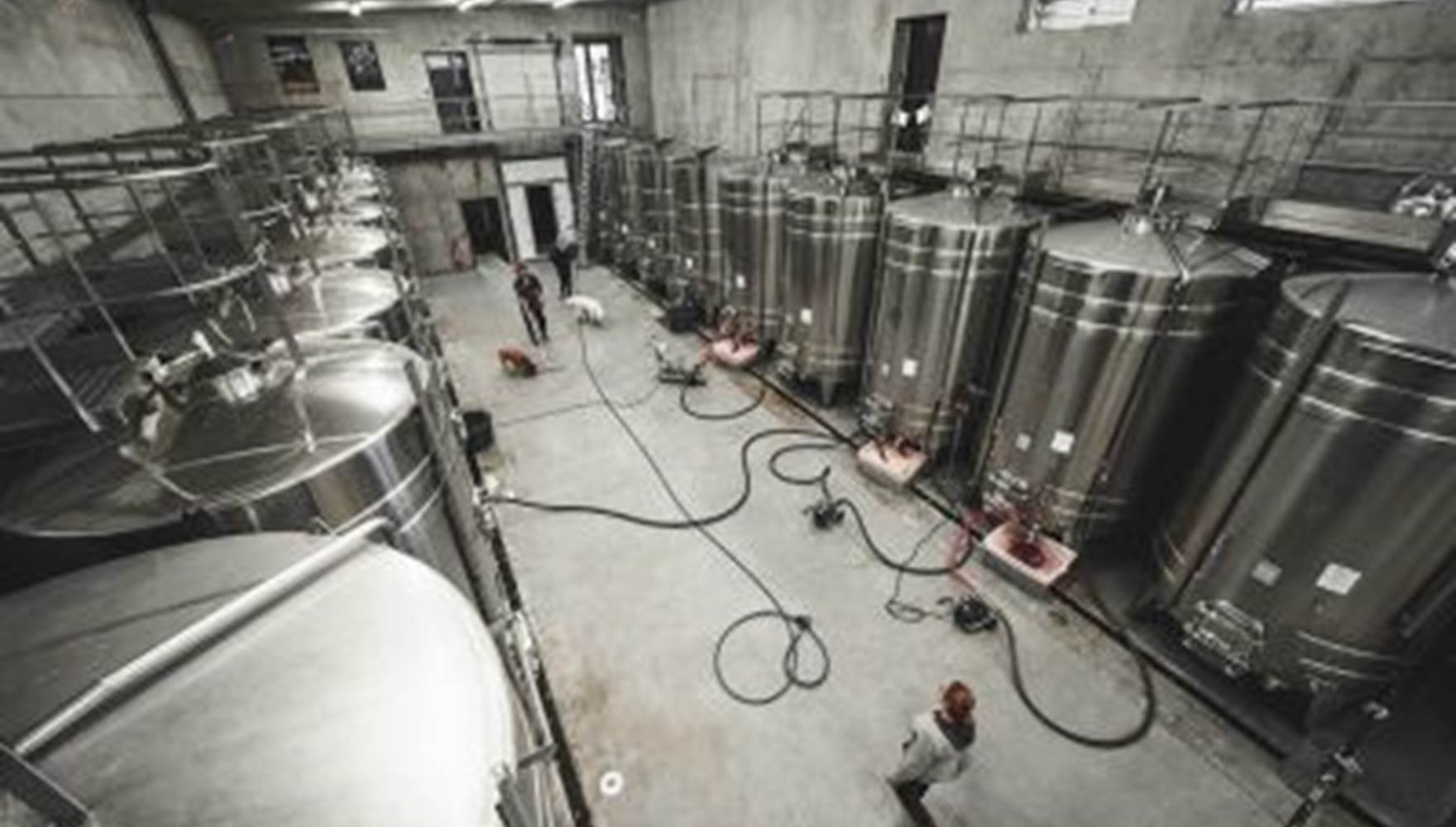 Atelier Découverte de l'élevage, Assemblage et mise en Bouteille