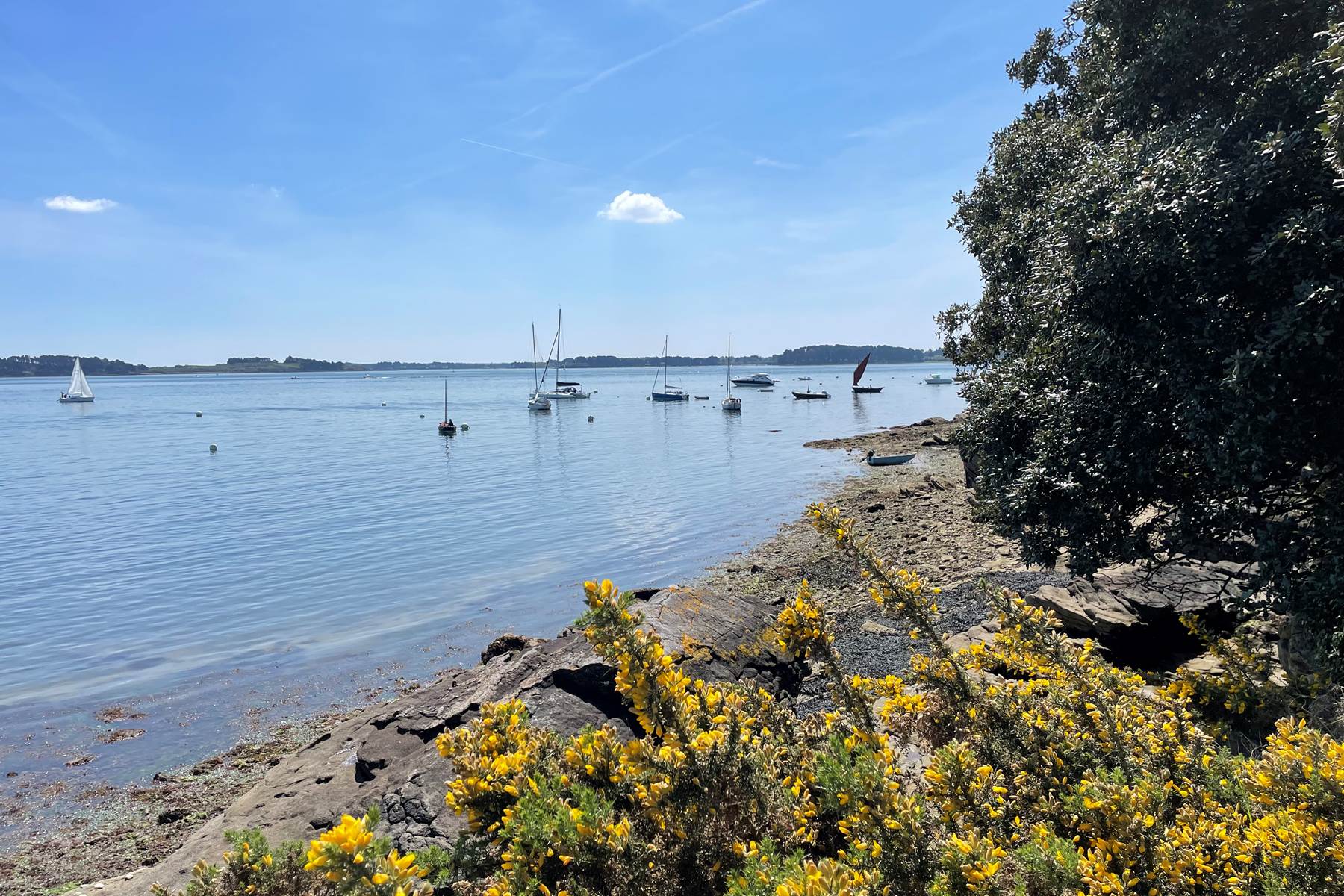 Ile de Berder-photo-page