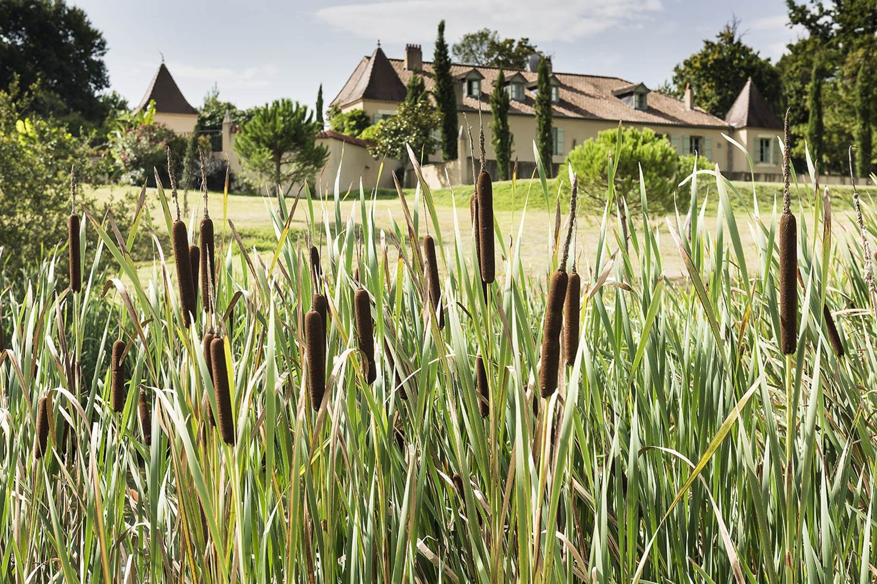 Manechal_Garden_010-photo-page