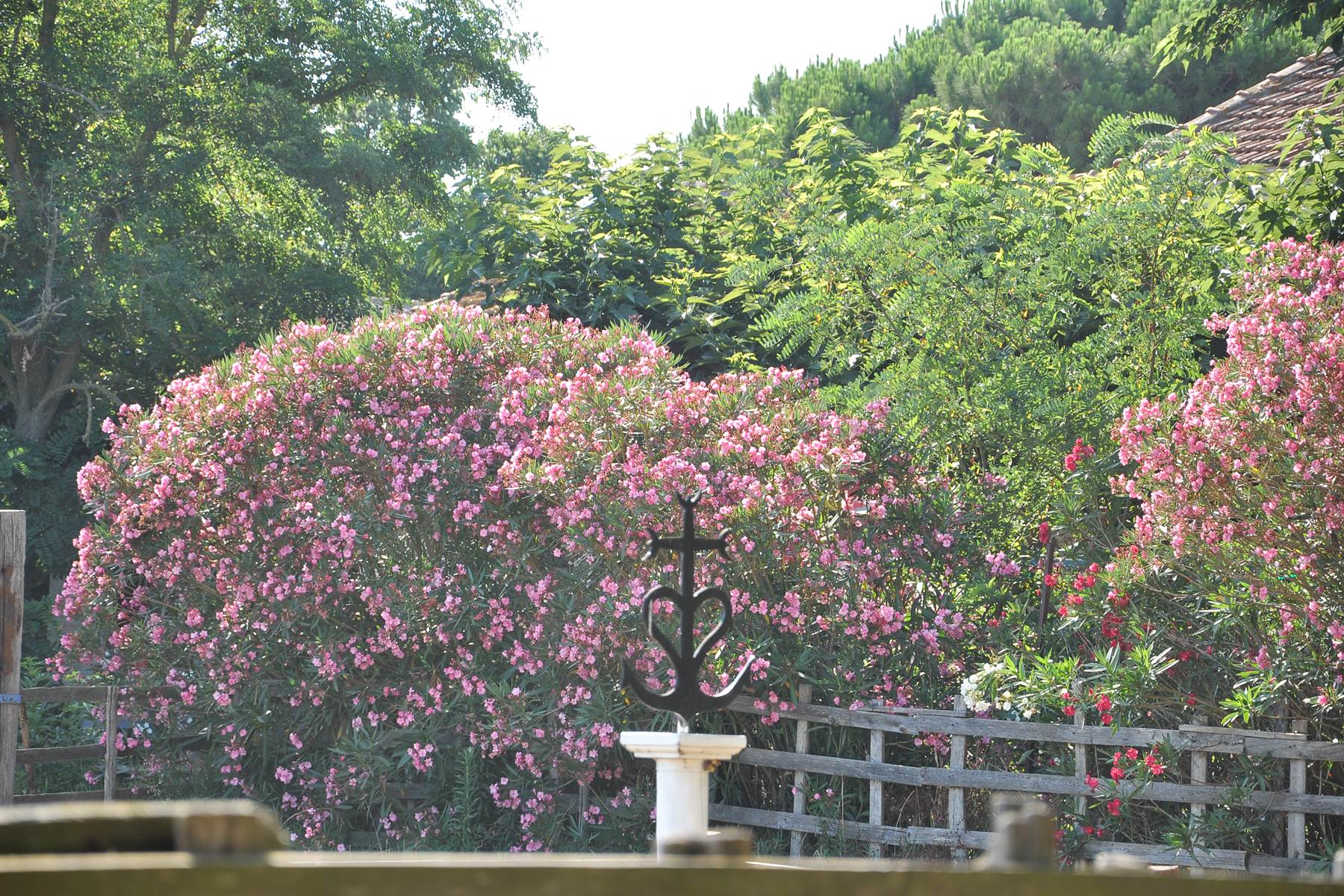 La Croix Camargue ( Foix / Amour / Espérance )
